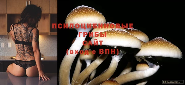 герыч Гусь-Хрустальный