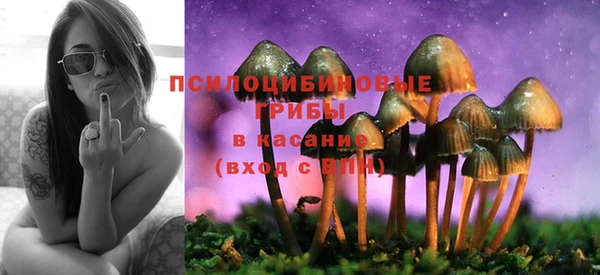 кокаин премиум Гусиноозёрск