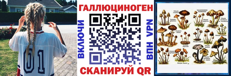 даркнет сайт Олонец Псилоцибиновые грибы Psilocybe